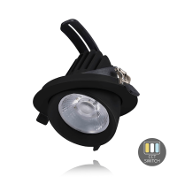 LED Banaan downlight kantelbaar CCT